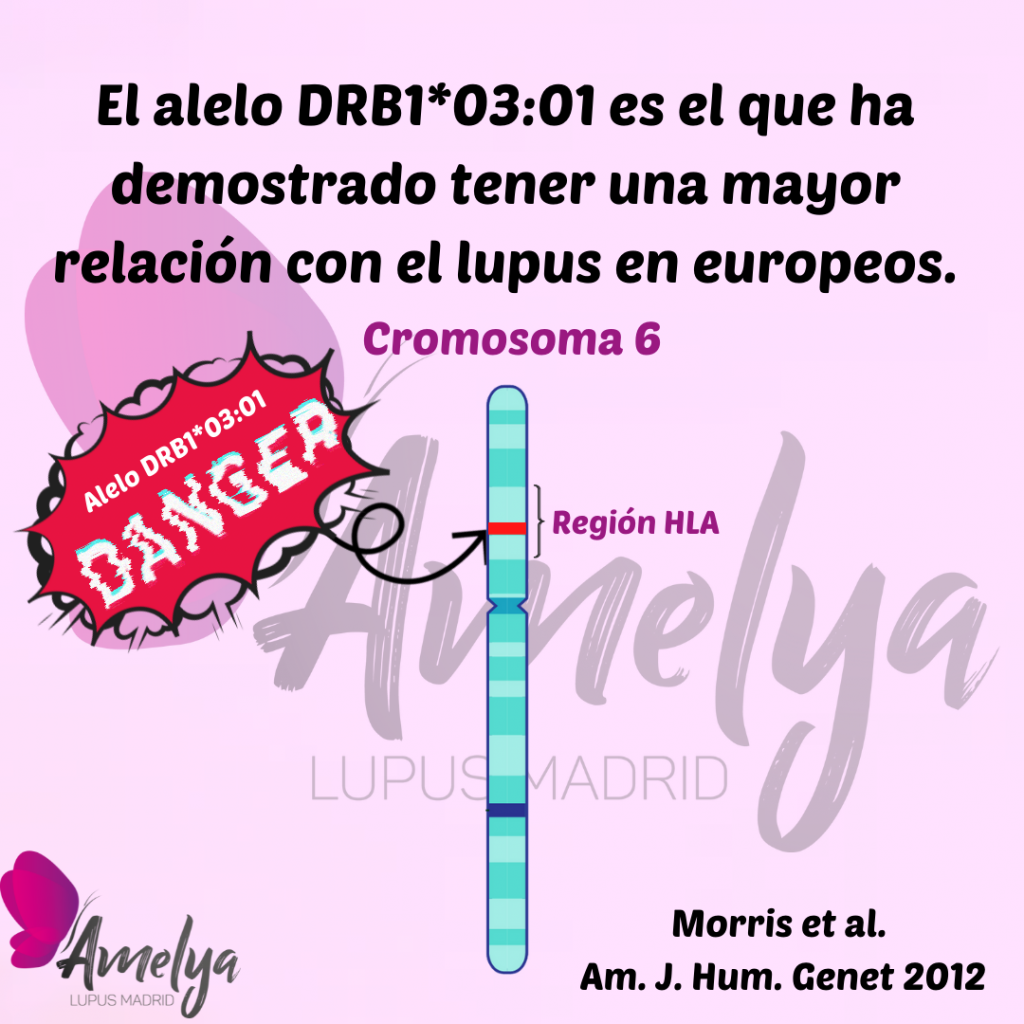 Se muestra el cromosoma 6 y la localización del gen HLA, donde se encuentra el alelo RB1*03:01, con un signo de peligro