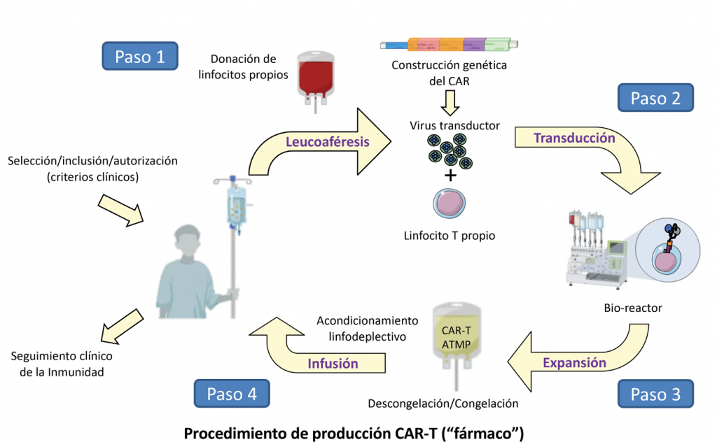 Proceso de elaboración de células CAR-T