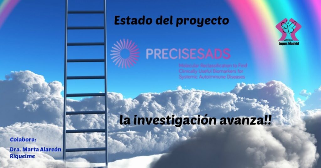 Estado del proyecto PRECISESADS
