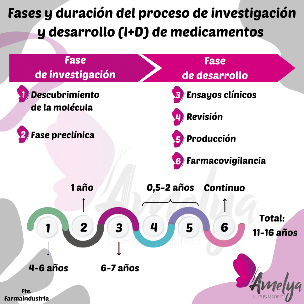 Esquema que muestra las distintas fases y duración del proceso de investigación y desarrollo I+D de medicamentos