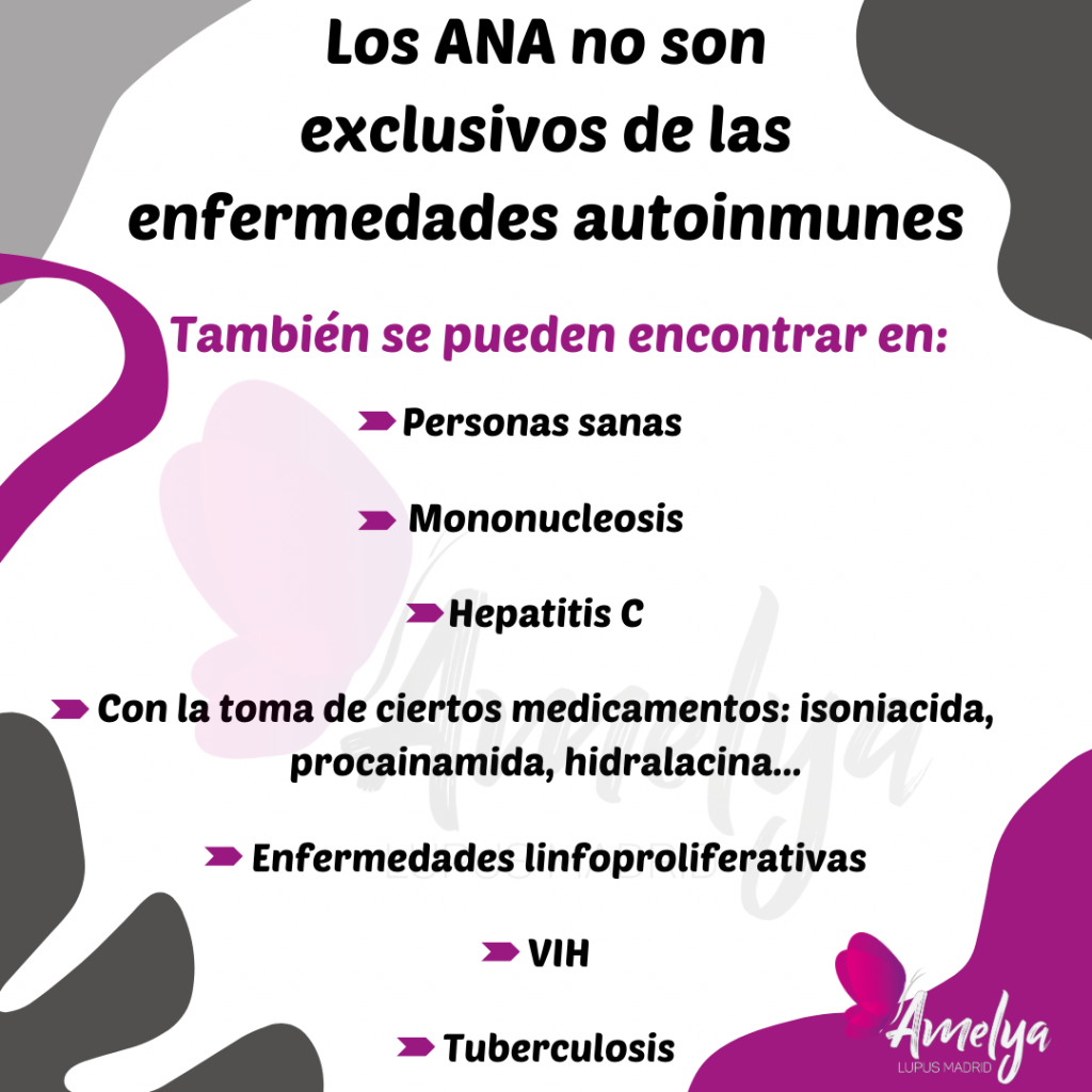 Imagen con marca de agua con el logo de AMELyA Lupus Madrid y el siguiente texto: los ANA también se pueden encontrar en:
- Personas sanas
- Mononucleosis
- Hepatitis C
- Ciertos medicamentos )isoniacida, procainamida, hidralacina...)
- Enfermedades linfoproliferativas
- VIH
- Tuberculosis